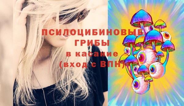 дурь Алексин