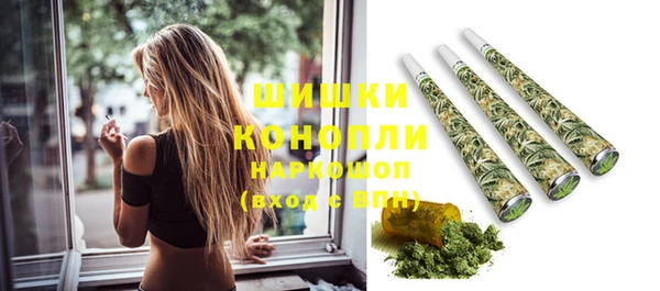 тгк Новозыбков