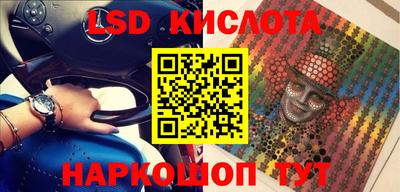 индика Новодвинск