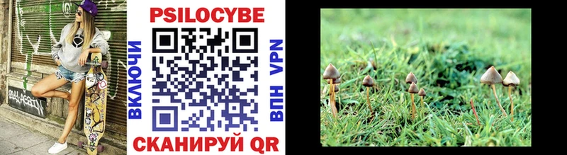 Псилоцибиновые грибы Psilocybine cubensis  купить наркоту  Куйбышев 