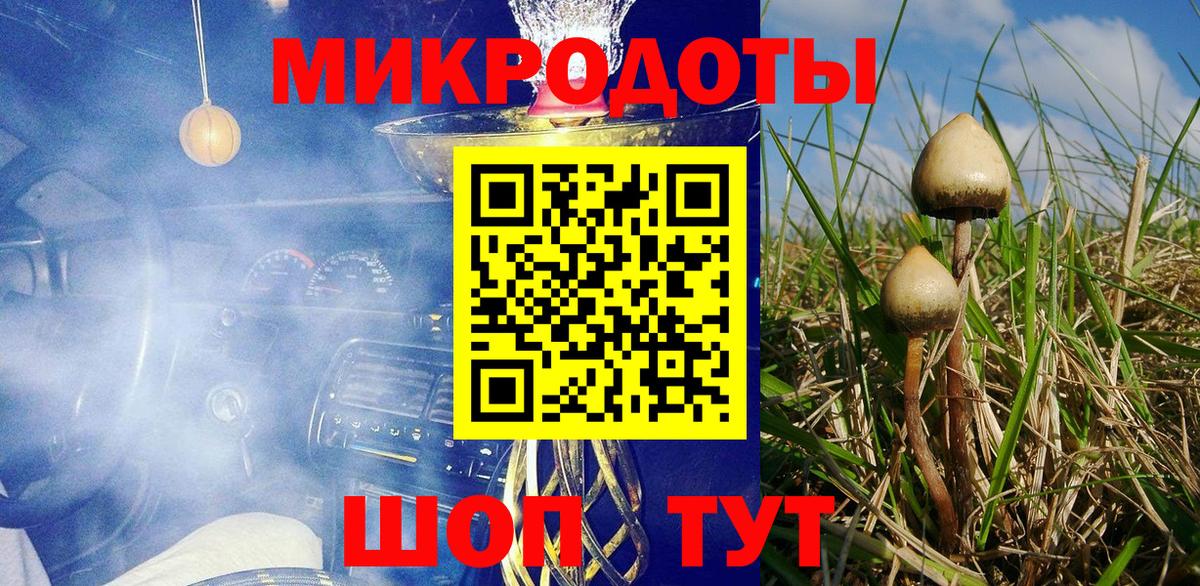 Псилоцибиновые грибы ЛСД Куйбышев